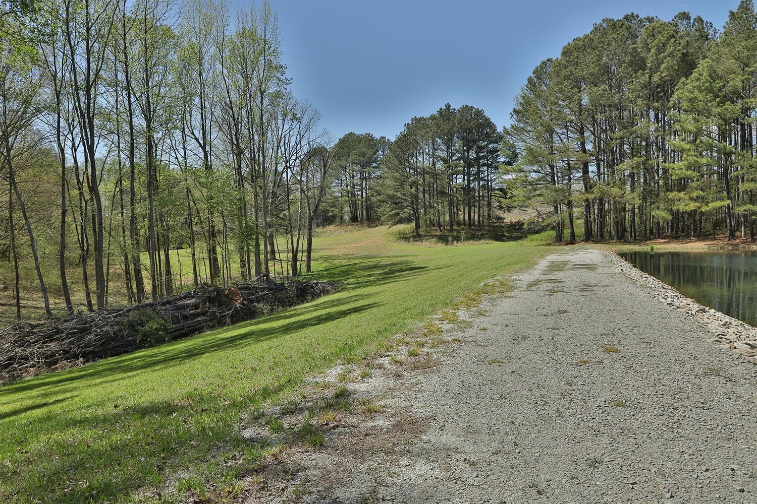 513 Parrott Road Dresden, TN 38225 - Photo 38 of 45 Photo 38