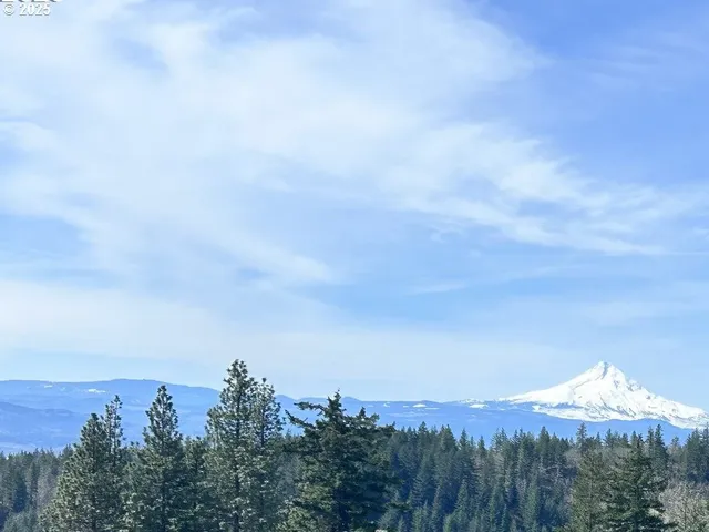 a view of a city and mountains in the background