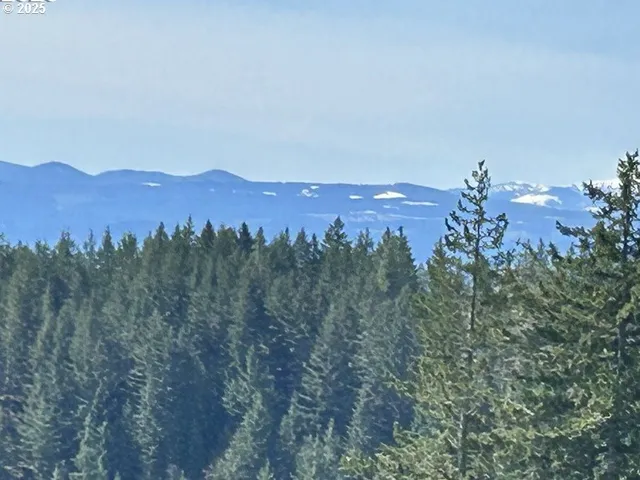 a view of a city with a mountain