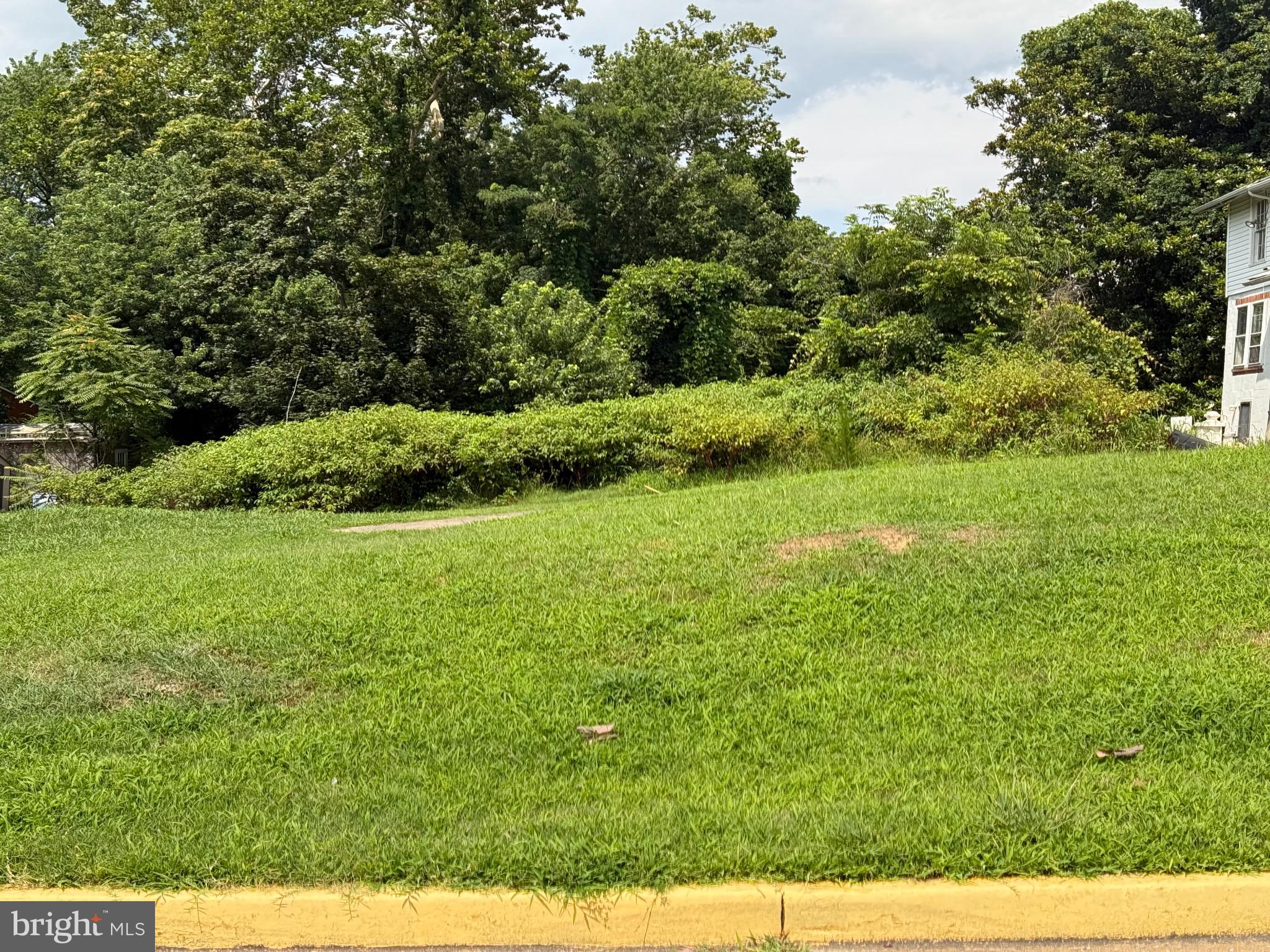223 3rd Avenue Quantico, VA 22134 - Photo 2 of 12 a view of yard with green space