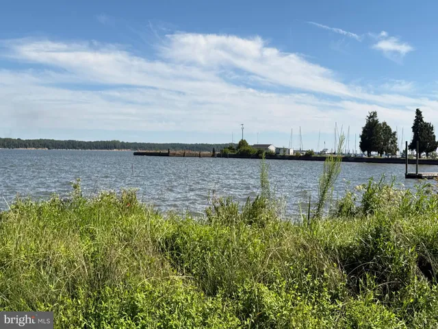 a view of a lake with houses in the back