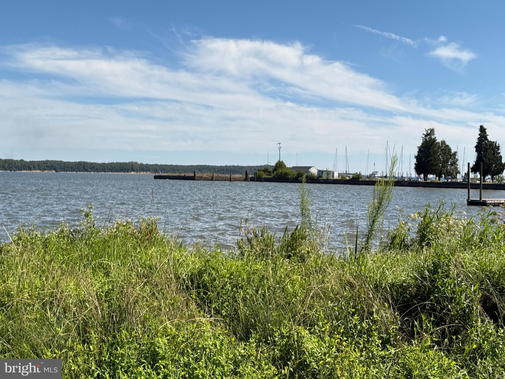 223 3rd Avenue Quantico, VA 22134 - Photo 9 of 12 a view of a lake with houses in the back