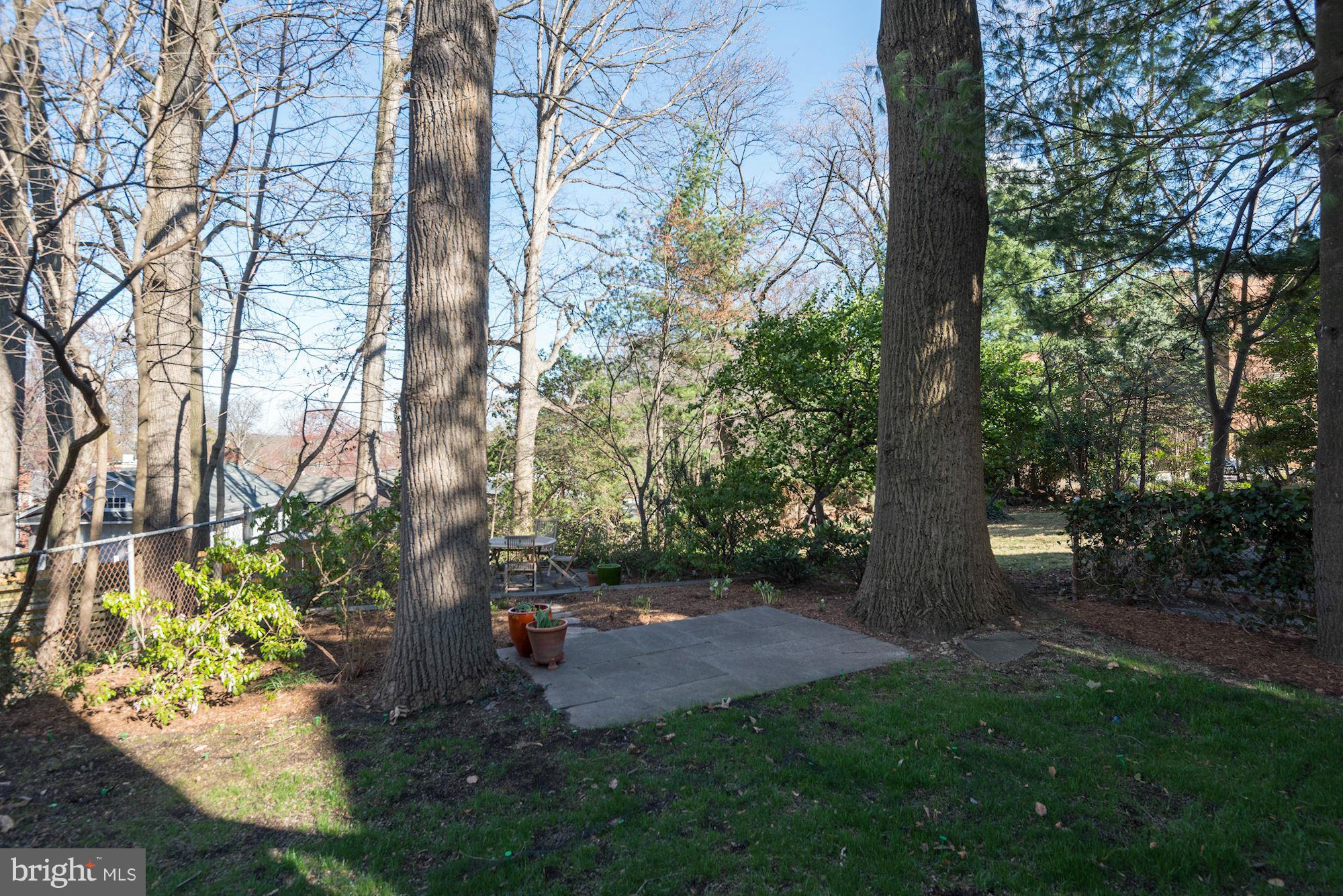 3513 34th Street Northwest Washington, DC 20008 - Photo 26 of 29 Rear