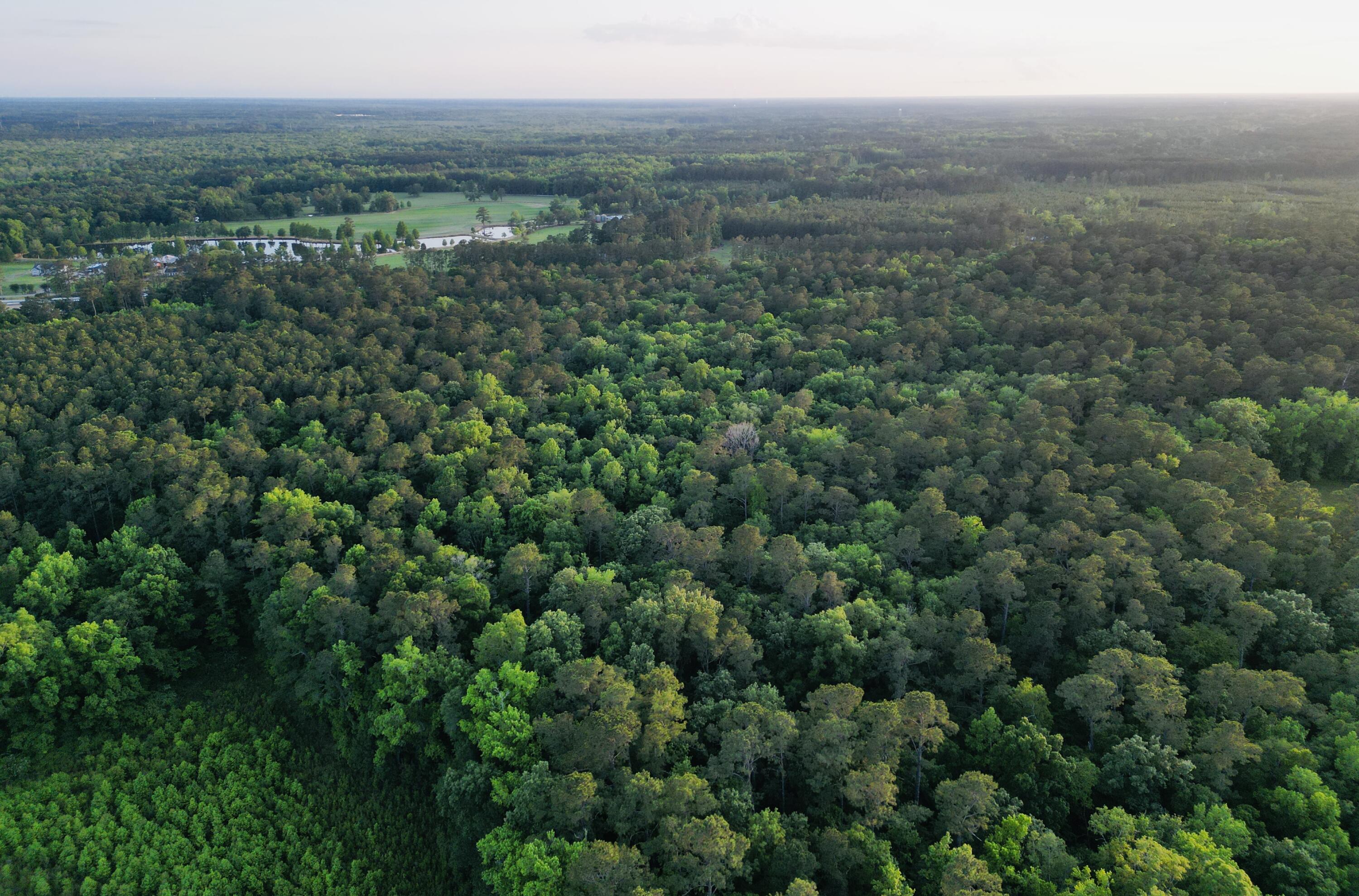 0 Fivel Lane Ridgeville, SC 29472 - Photo 13 of 38 dji_fly_20240502_195034_262_171461345323