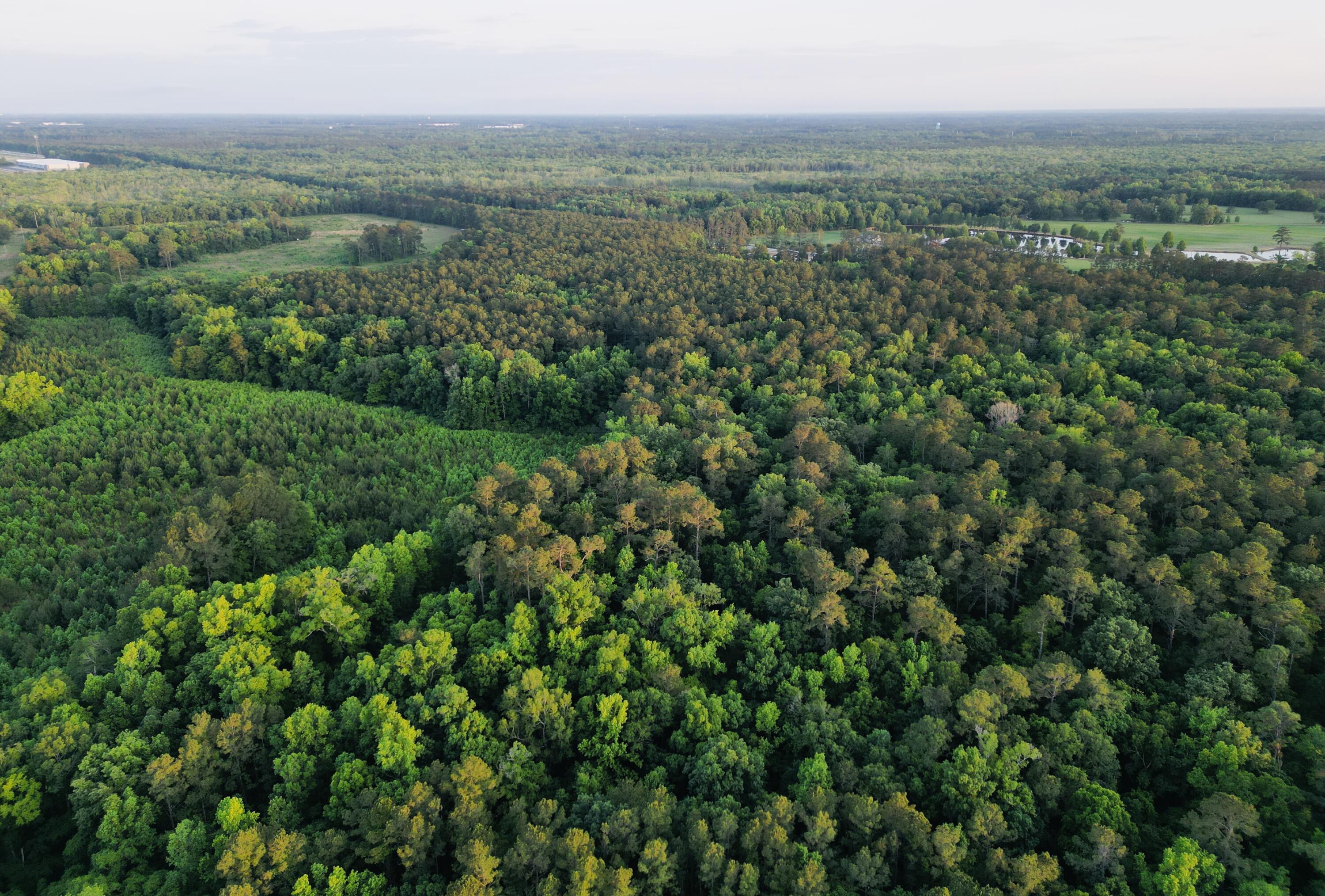 0 Fivel Lane Ridgeville, SC 29472 - Photo 14 of 38 dji_fly_20240502_195142_267_171461343218