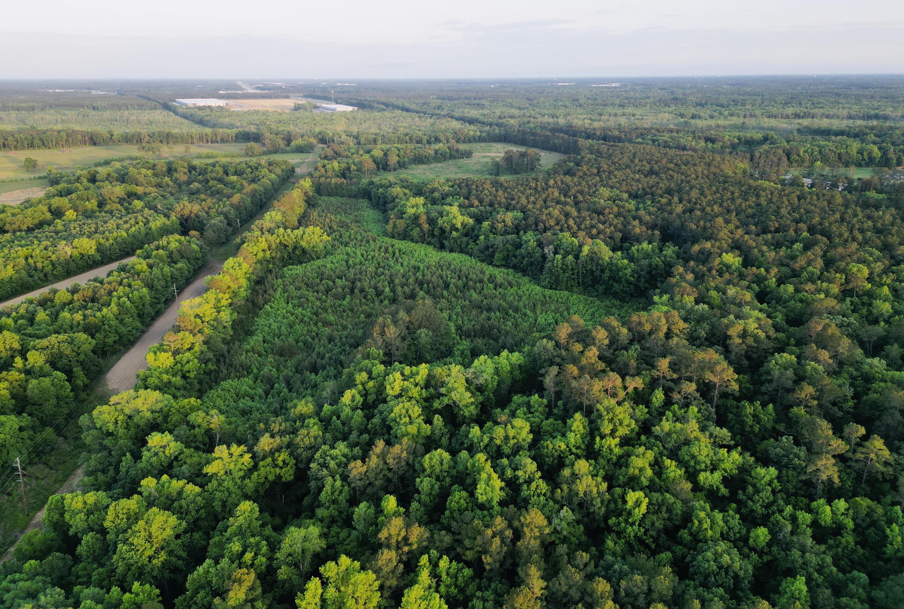 0 Fivel Lane Ridgeville, SC 29472 - Photo 15 of 38 dji_fly_20240502_195148_268_171461342904