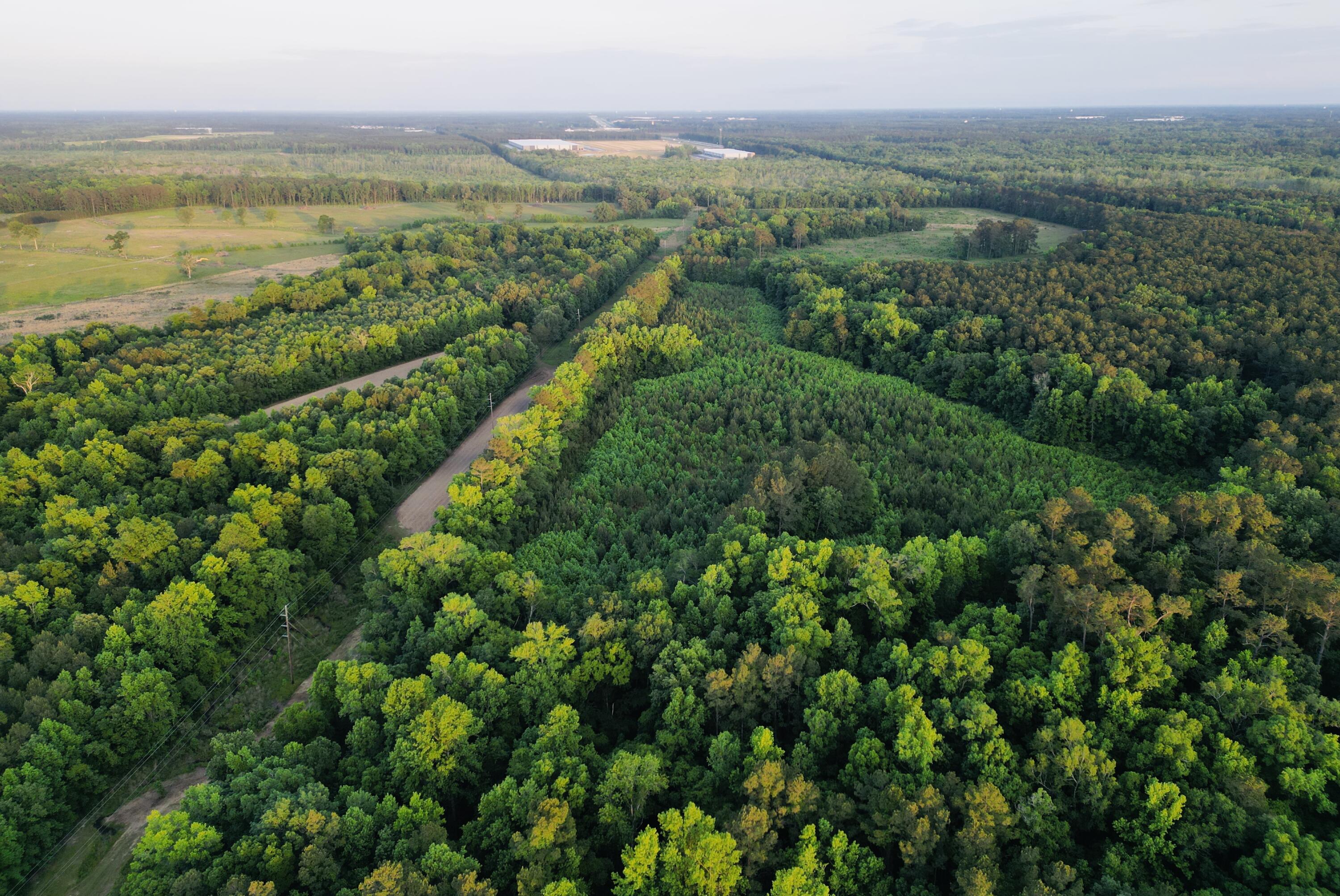 0 Fivel Lane Ridgeville, SC 29472 - Photo 16 of 38 dji_fly_20240502_195152_269_171461342615