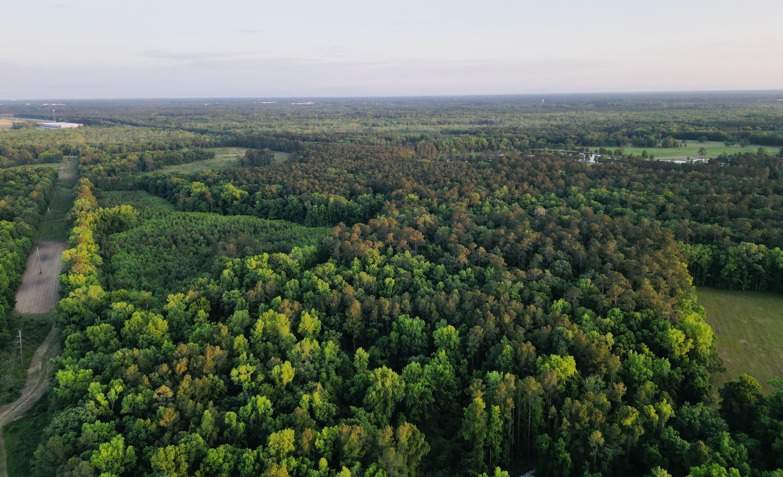 0 Fivel Lane Ridgeville, SC 29472 - Photo 18 of 38 dji_fly_20240502_195708_282_171461336722