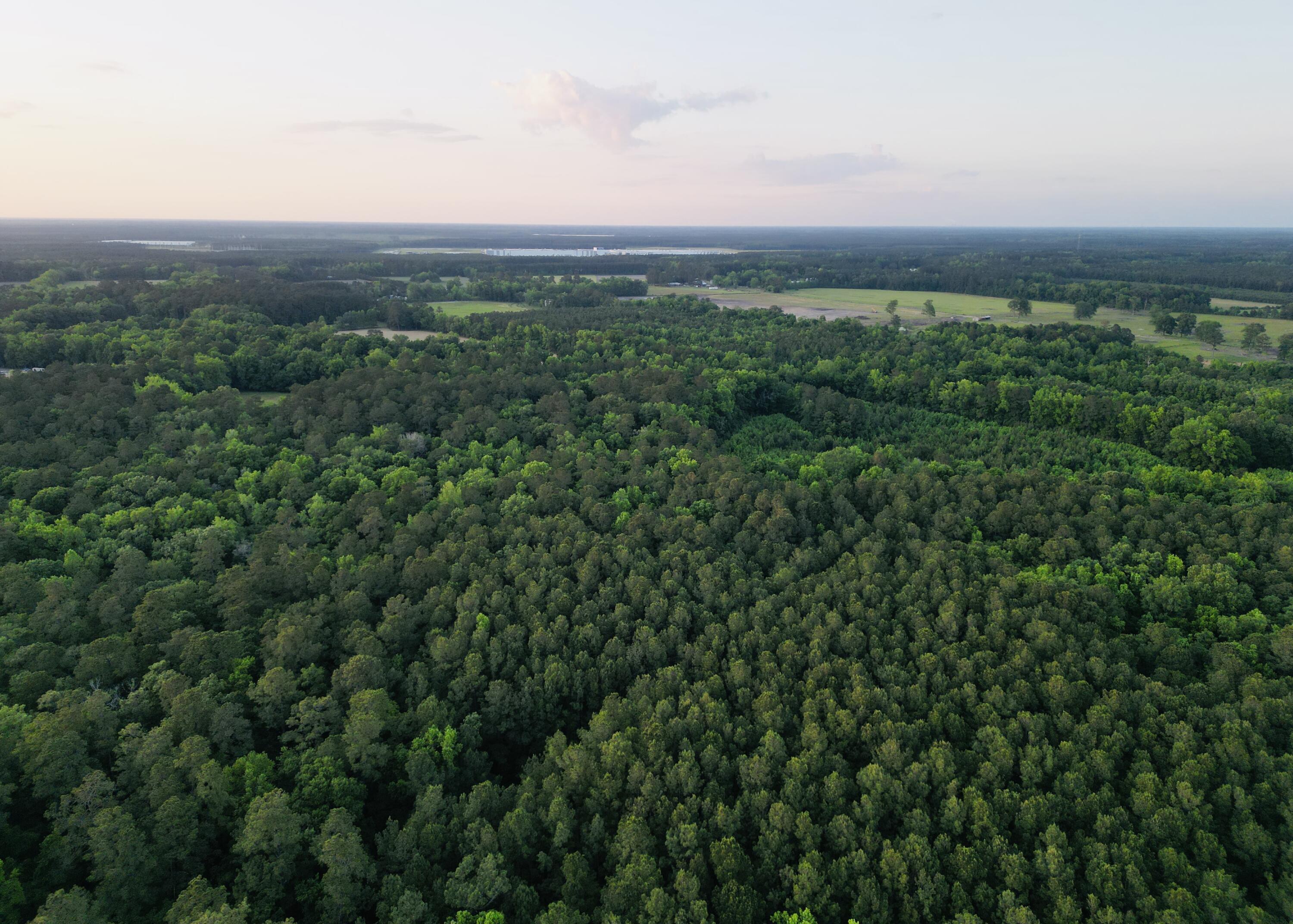0 Fivel Lane Ridgeville, SC 29472 - Photo 24 of 38 dji_fly_20240502_200652_295_171461323666