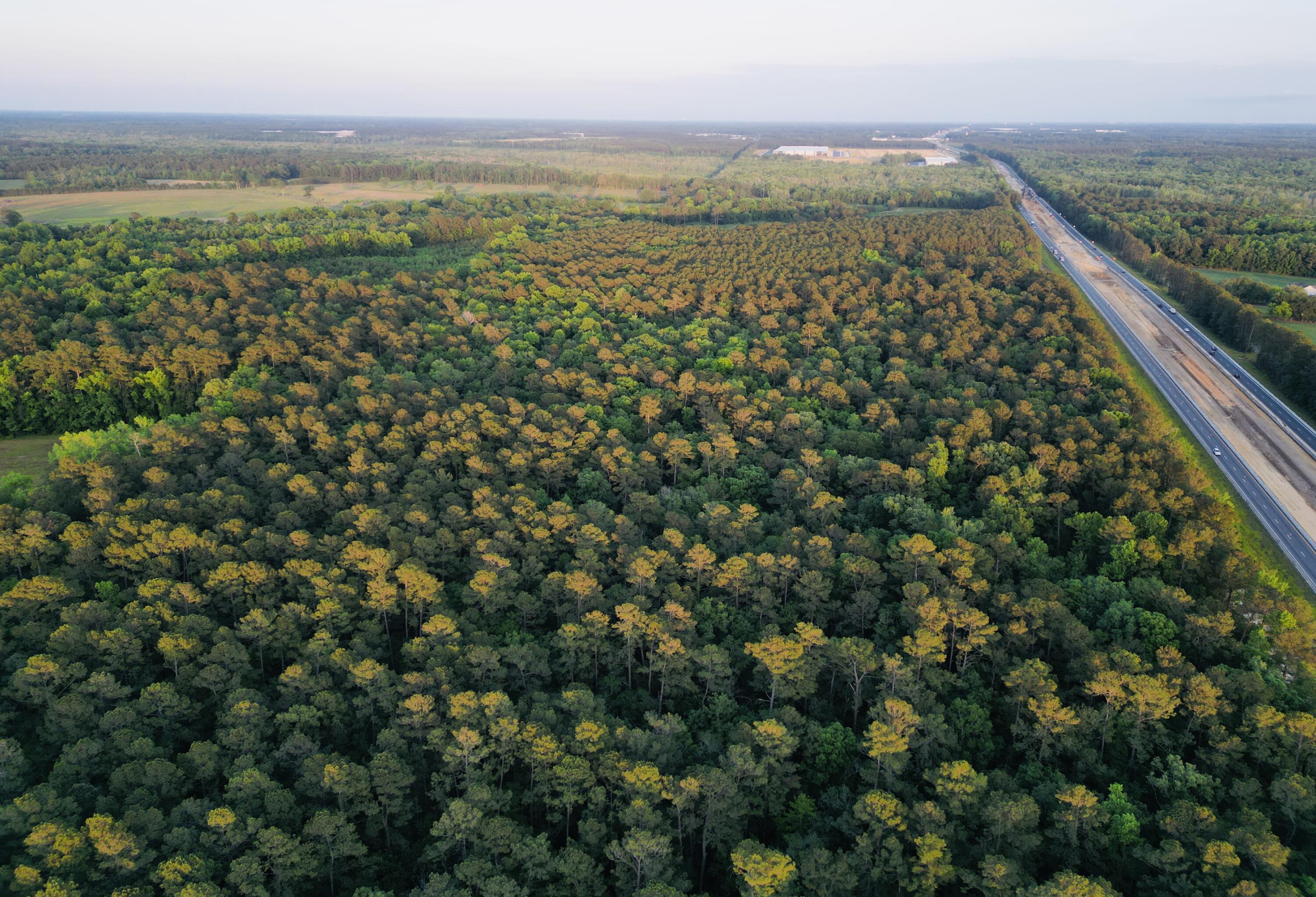 0 Fivel Lane Ridgeville, SC 29472 - Photo 3 of 38 3