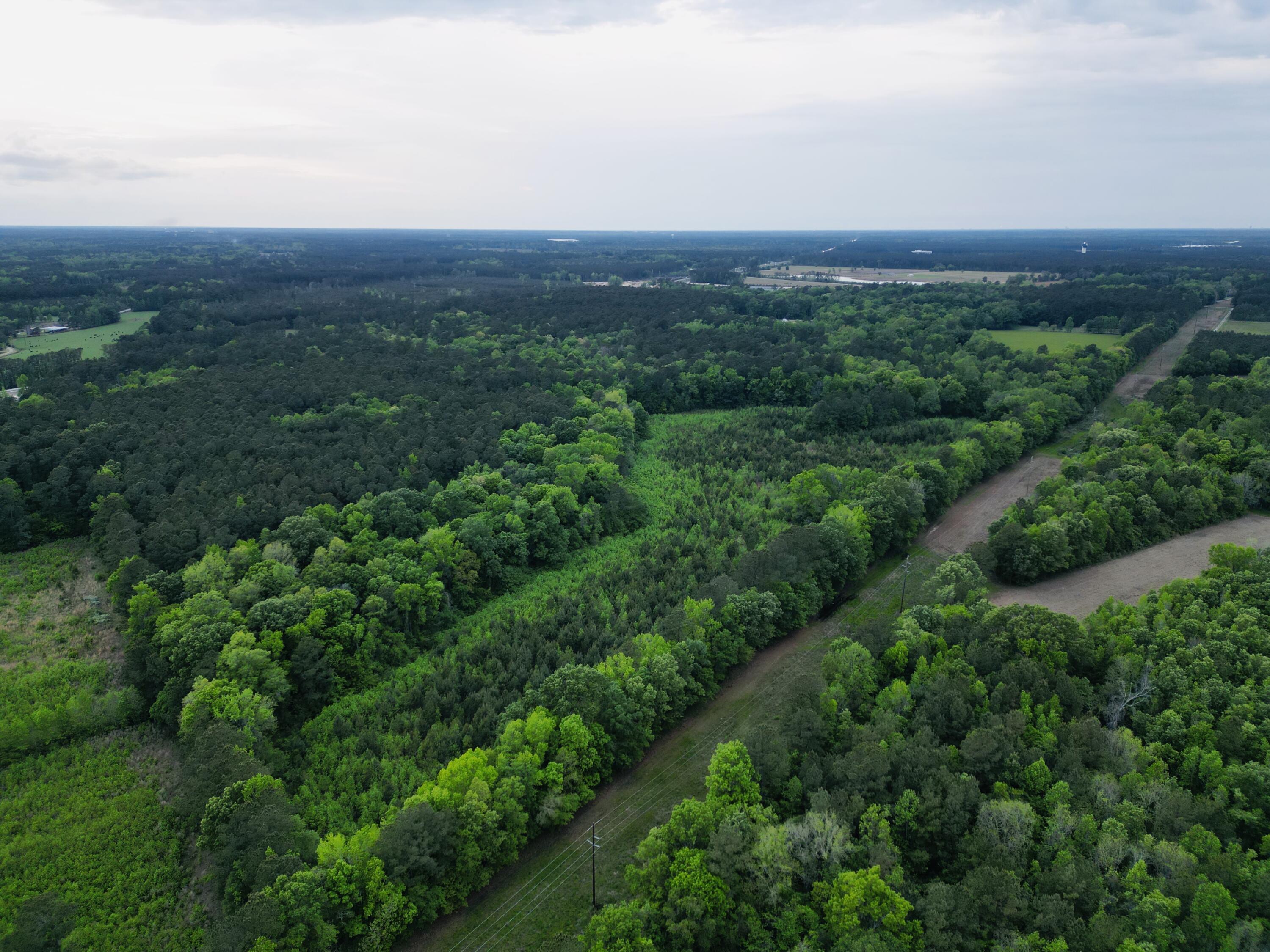0 Fivel Lane Ridgeville, SC 29472 - Photo 7 of 38 dji_fly_20240410_194042_237_171271476910