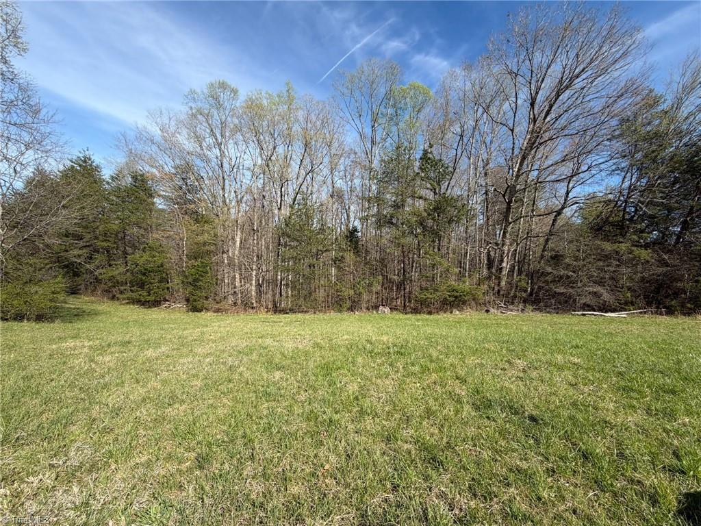 3.04 Ayers Road Pinnacle, NC 27043 - Photo 18 of 35