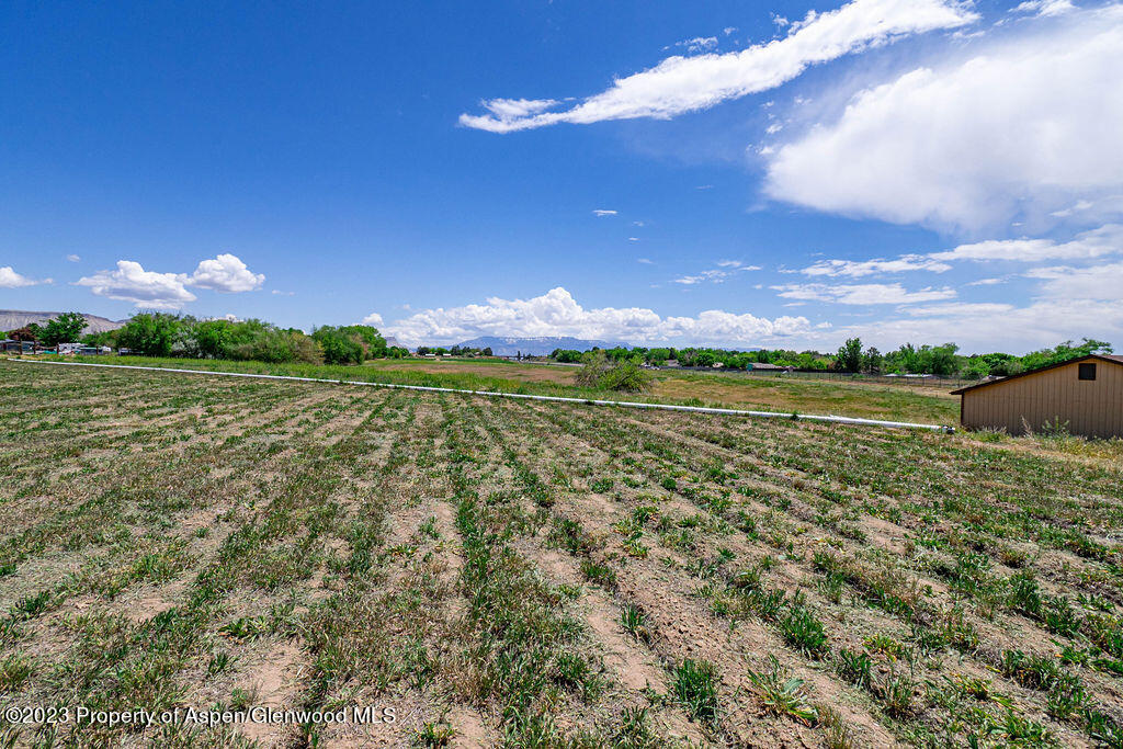 772 26 1/2 Road Grand Junction, CO 81506 - Photo 21 of 29 05152023772261.5RdEdits-10