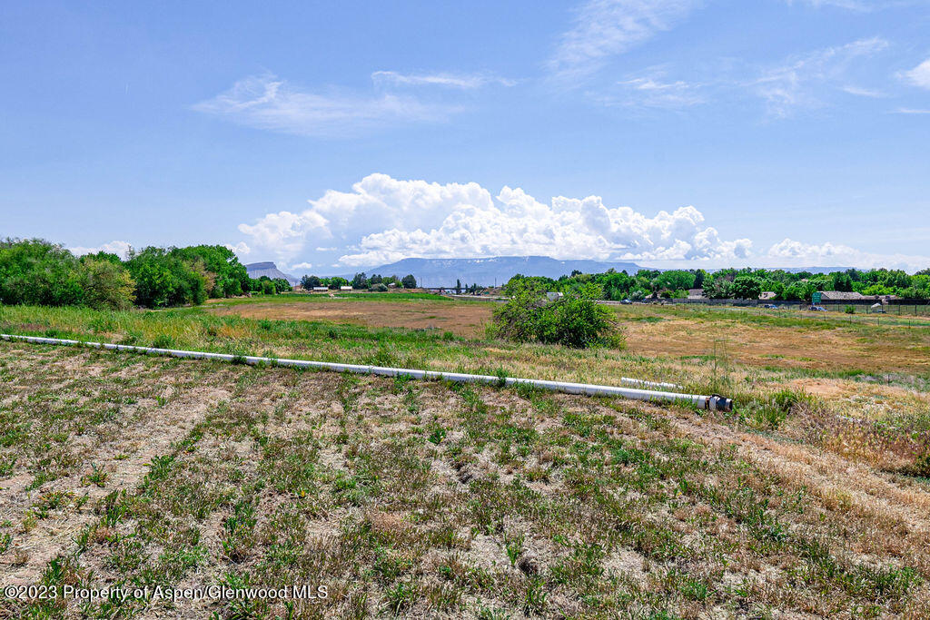 772 26 1/2 Road Grand Junction, CO 81506 - Photo 27 of 29 05152023772261.5RdEdits-18