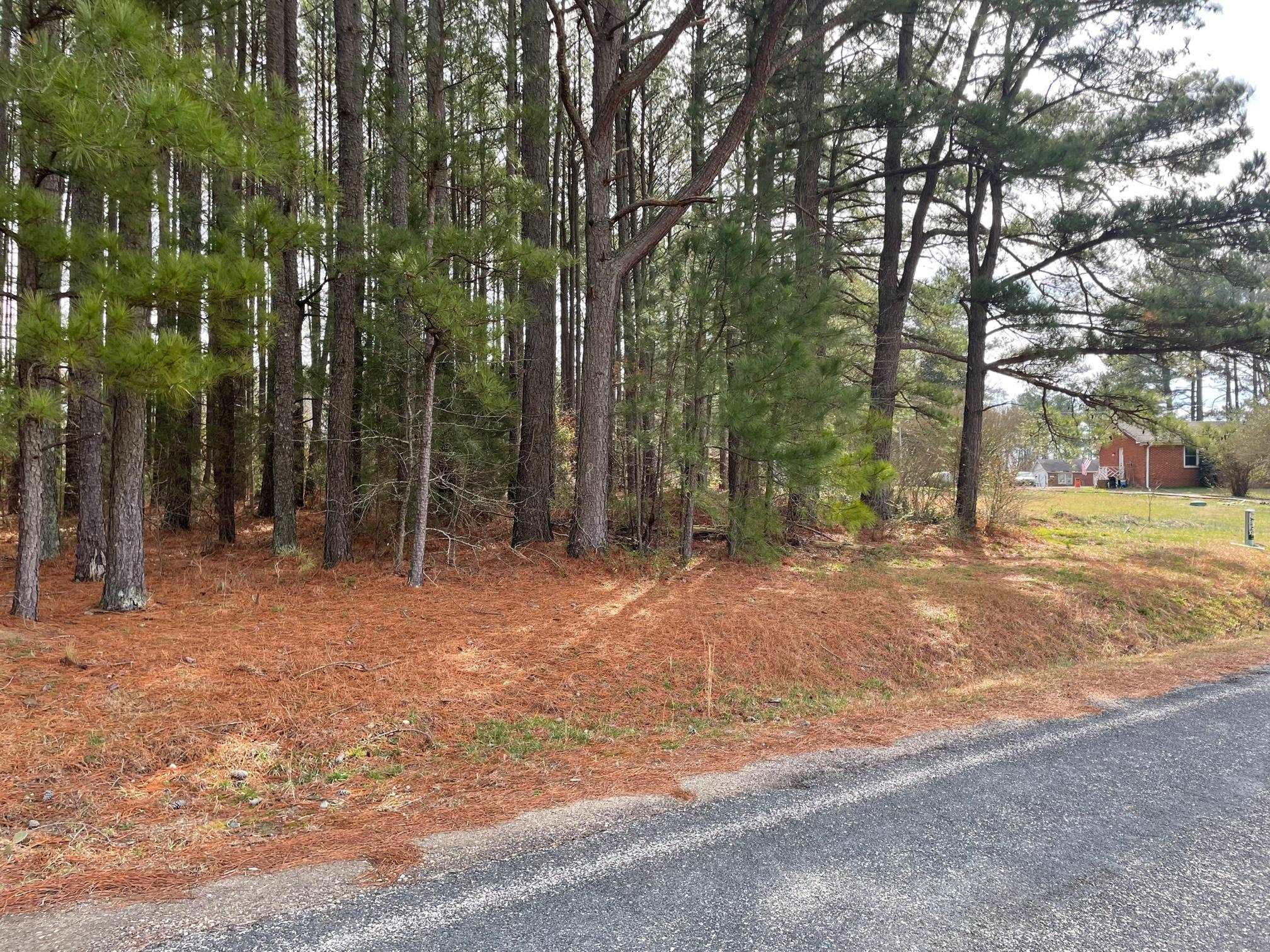 Pleasants Road Louisburg, NC 27549 - Photo 1 of 5 Photo 1