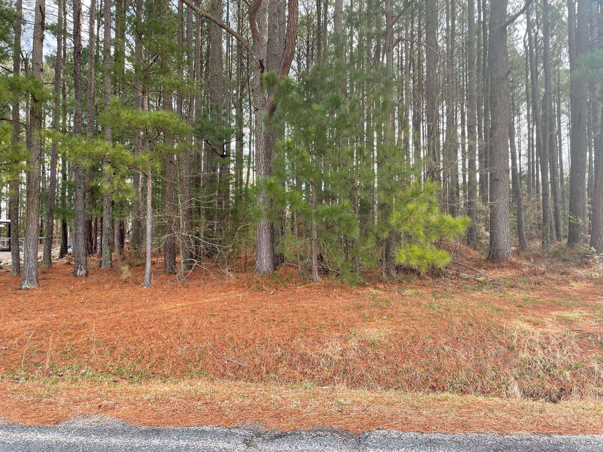 Pleasants Road Louisburg, NC 27549 - Photo 2 of 5 Frontage on Pleasants Road