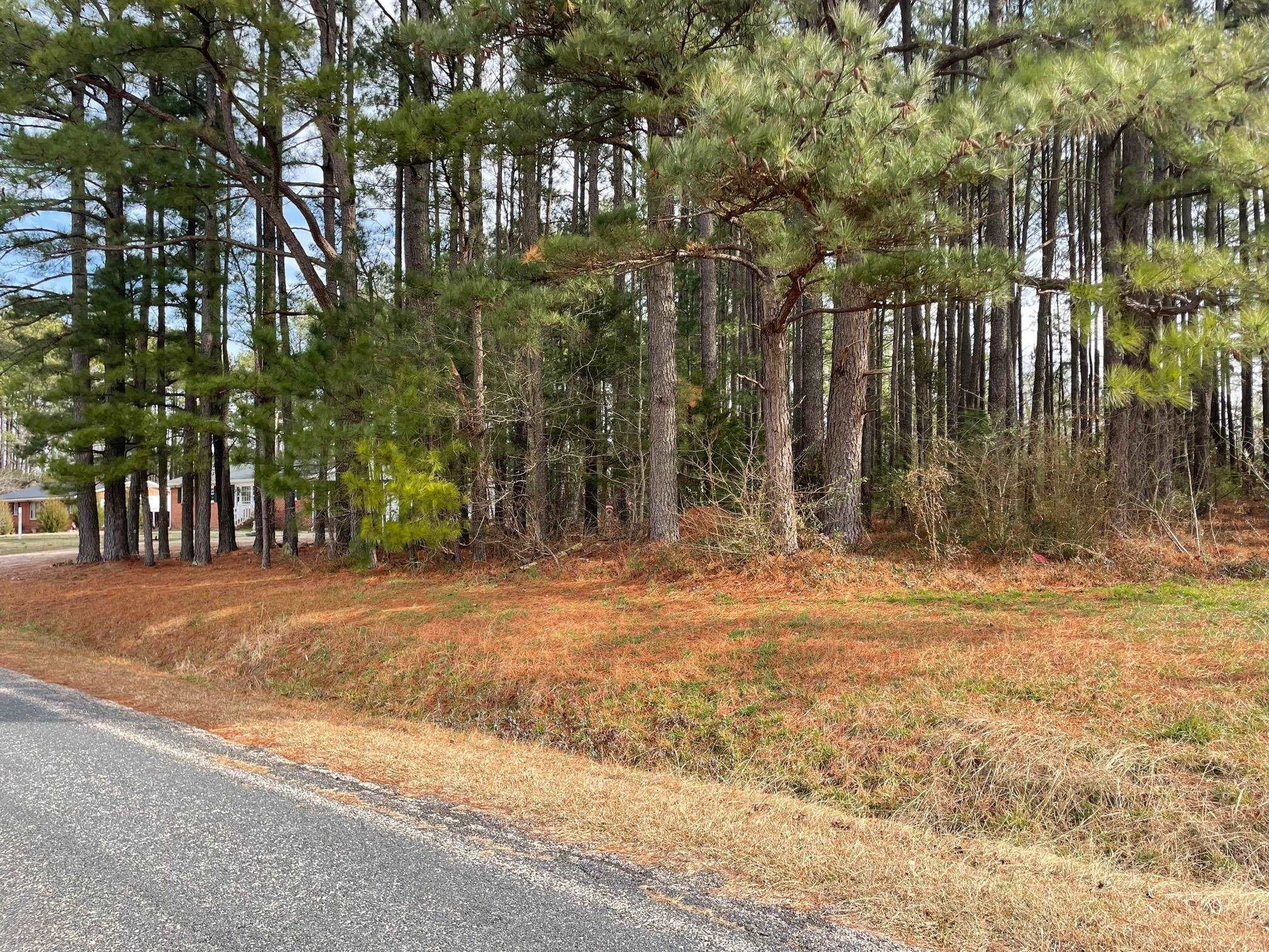 Pleasants Road Louisburg, NC 27549 - Photo 3 of 5 Photo 3