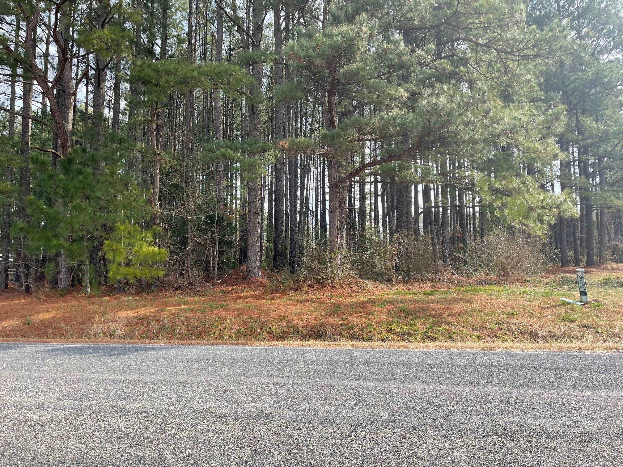 Pleasants Road Louisburg, NC 27549 - Photo 4 of 5 Photo 4