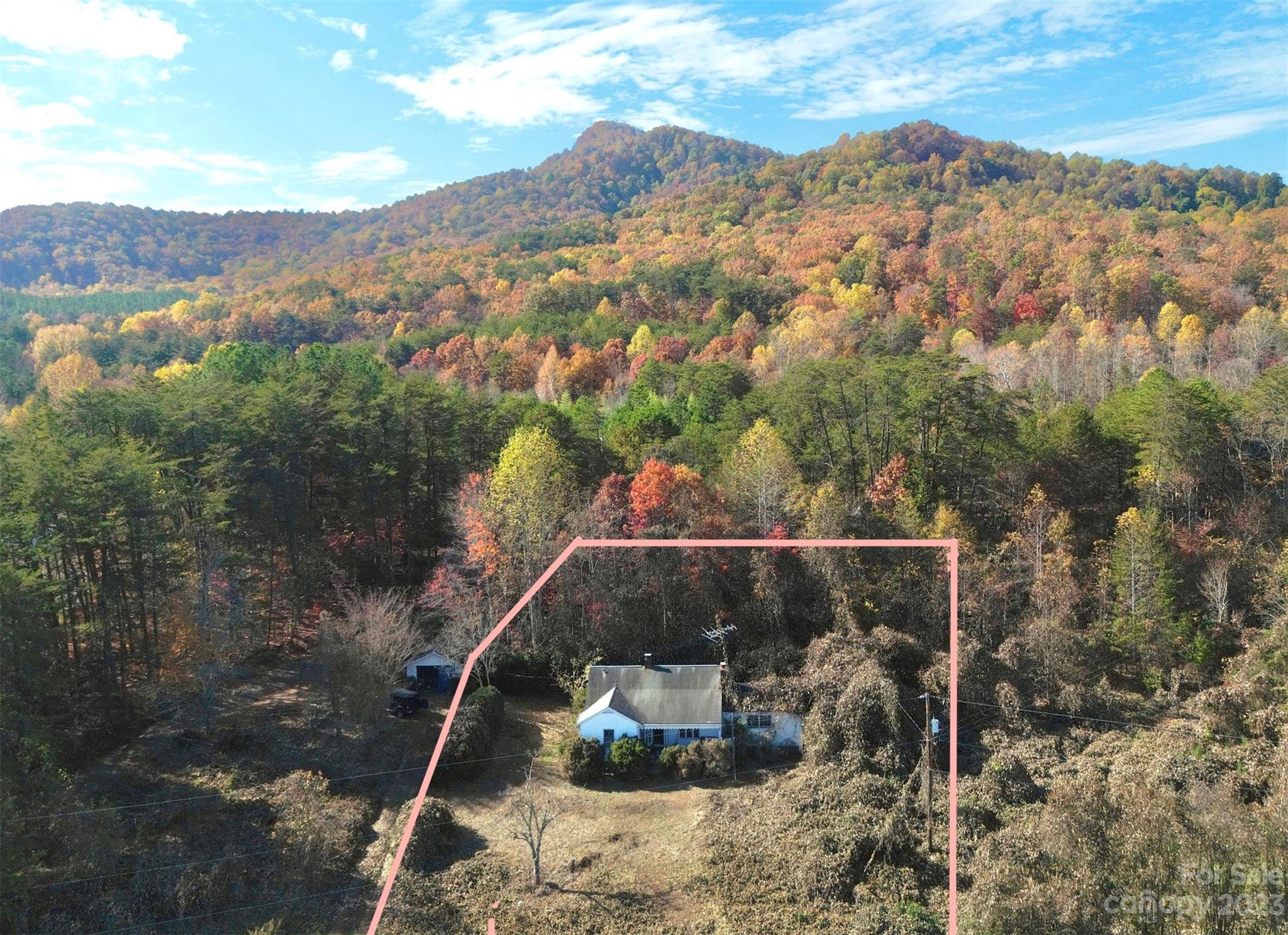793 Silver Creek Road Mill Spring, NC 28756 - Photo 20 of 20 a view of a forest