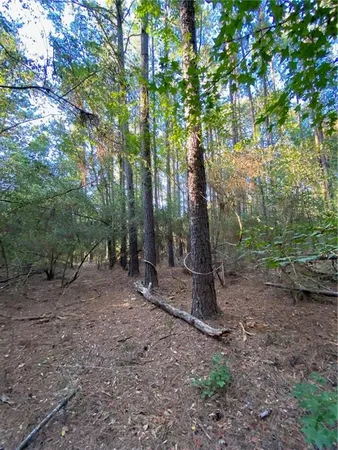 $328,950 | 3 East Yeager Drive, Ball, LA 71405