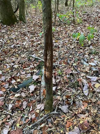 $328,950 | 3 East Yeager Drive, Ball, LA 71405