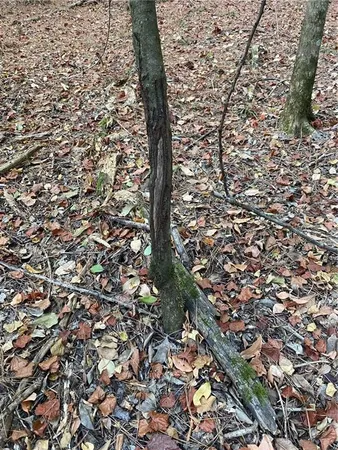 $328,950 | 3 East Yeager Drive, Ball, LA 71405