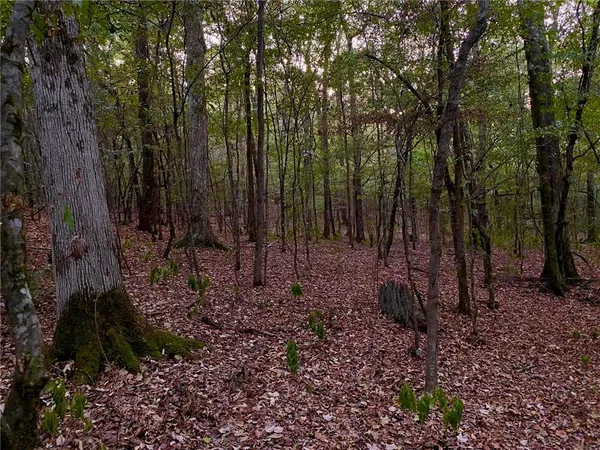 $328,950 | 3 East Yeager Drive, Ball, LA 71405