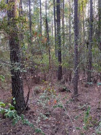 $328,950 | 3 East Yeager Drive, Ball, LA 71405