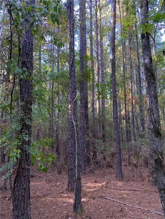 $328,950 | 3 East Yeager Drive, Ball, LA 71405