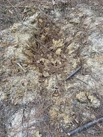 $328,950 | 3 East Yeager Drive, Ball, LA 71405