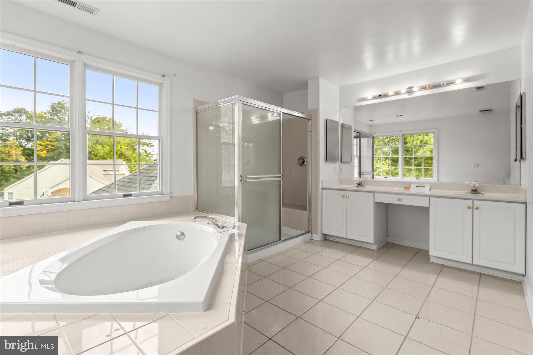 3360 Lawndale Road Reisterstown, MD 21136 - Photo 38 of 63 a bathroom with a bathtub a sink a mirror a window and a shower