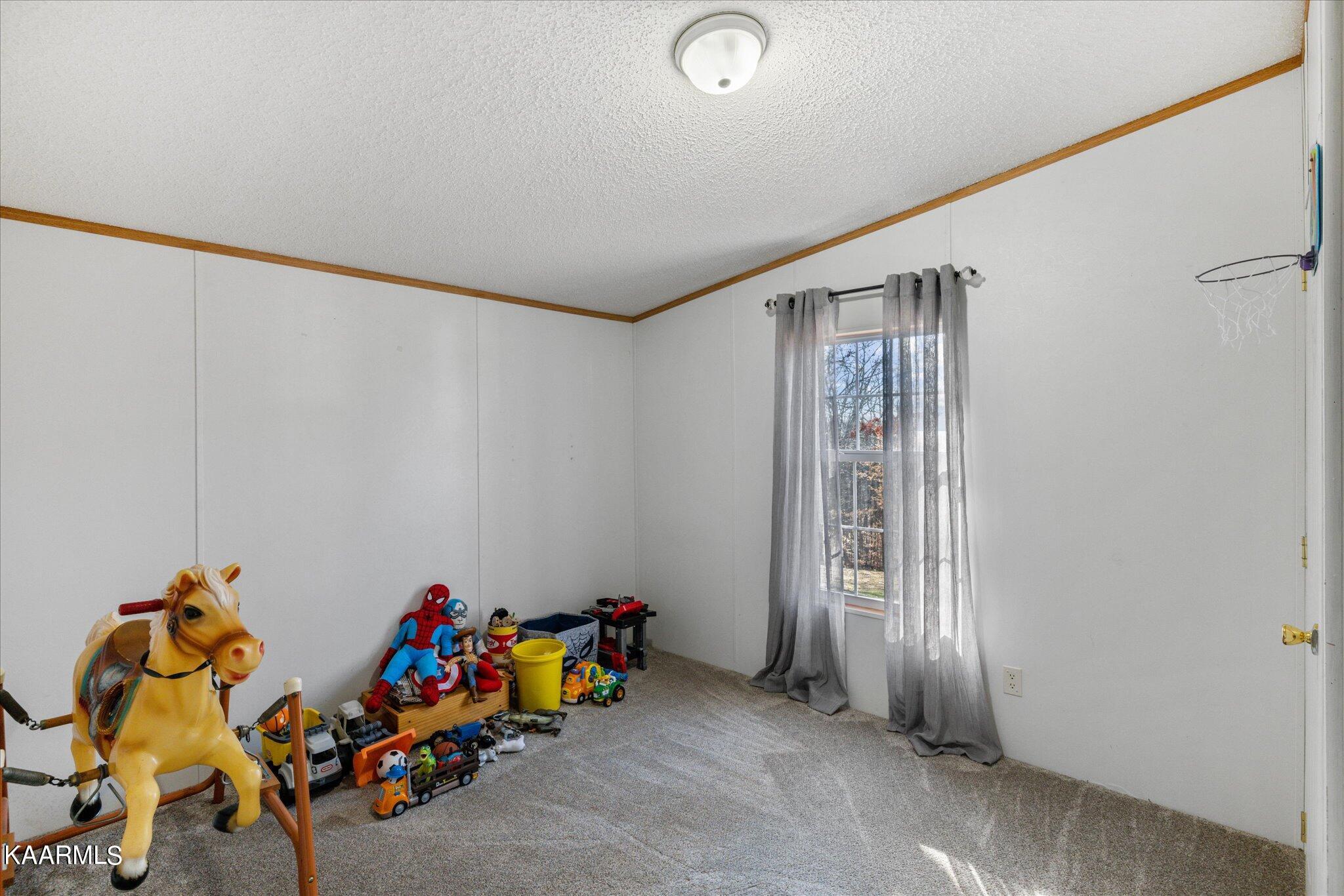 7512 Hunters Ridge Way Knoxville, TN 37914 - Photo 27 of 36 35-IMG_0069