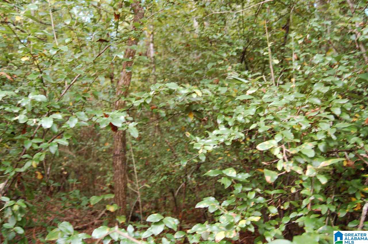 26-acres Old Shocco Road, Unit 26 ACRES Talladega, AL 35160 - Photo 9 of 10