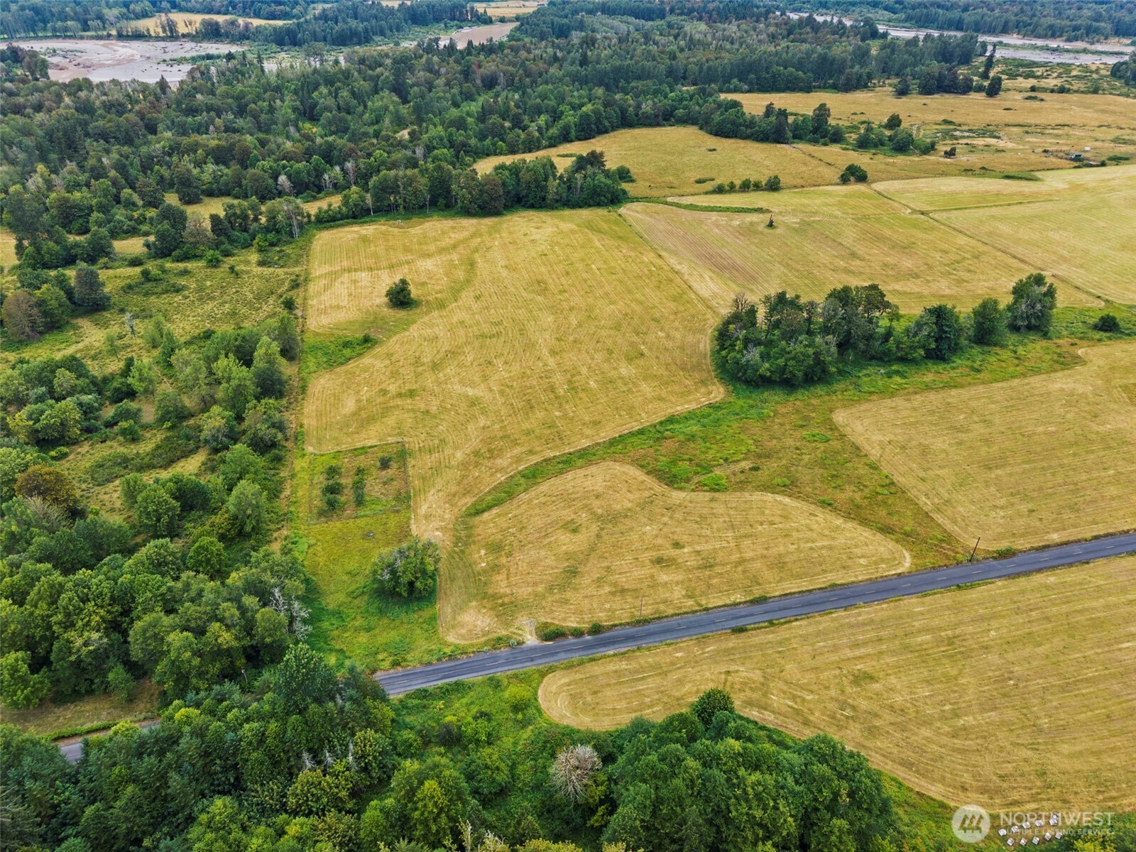 1179 Cline Road Randle, WA 98377 - Photo 3 of 6 Gallery Image 3