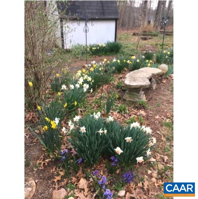 140 Tulip Road Ruckersville, VA 22968 - Photo 31 of 42 a backyard of a house with lots of green space