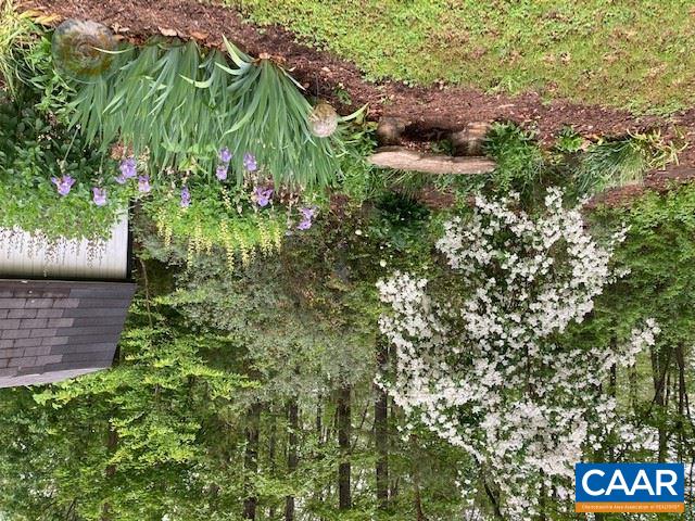 140 Tulip Road Ruckersville, VA 22968 - Photo 34 of 42 a view of a garden with plants