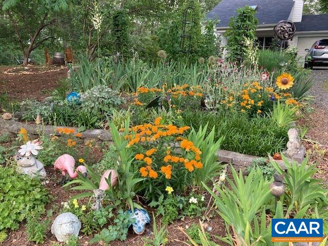 140 Tulip Road Ruckersville, VA 22968 - Photo 36 of 42 a view of a flower