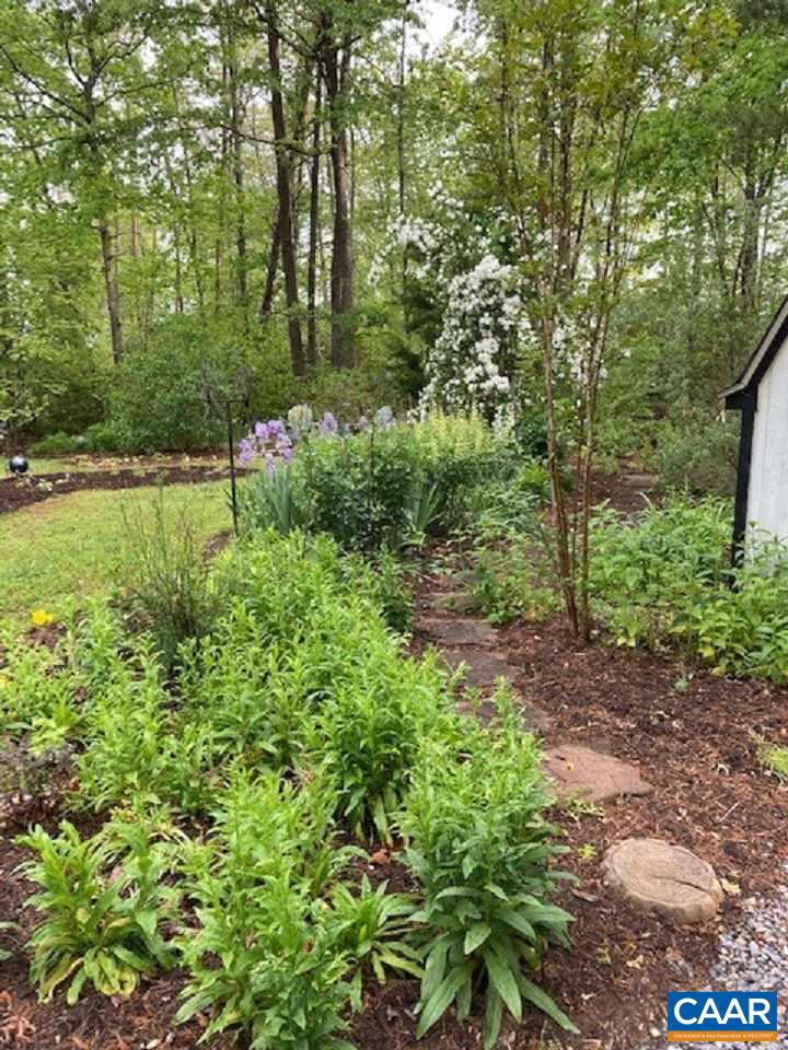 140 Tulip Road Ruckersville, VA 22968 - Photo 40 of 42 a view of a lush green forest