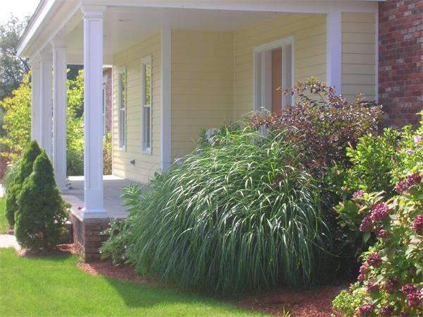115 Carter Field Road North Andover, MA 01845 - Photo 7 of 13 a plant is in front of a house