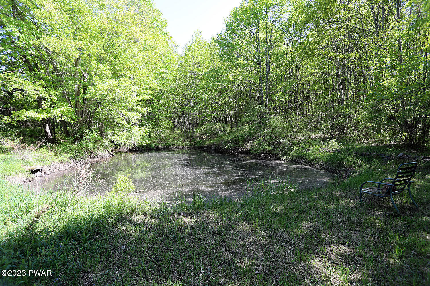 33 Buckley Road Equinunk, PA 18417 - Photo 3 of 30 Pond view