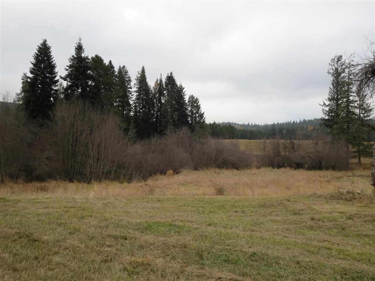 14212 East Blanchard Road Elk, WA 99009 - Photo 18 of 20 Gallery Image 18
