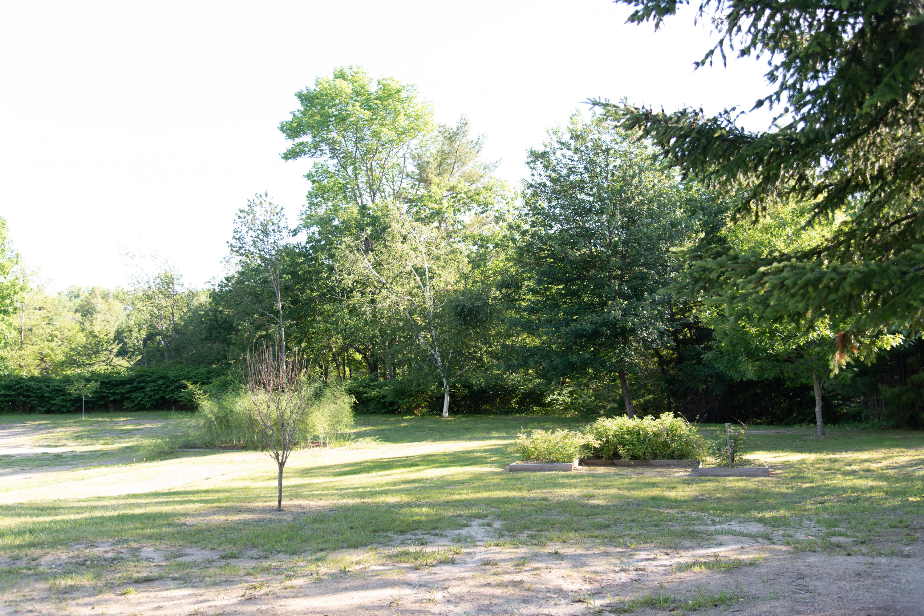 22 Waterford Road Waterford, ME 04088 - Photo 39 of 43 Molly___Victoria_Co-28