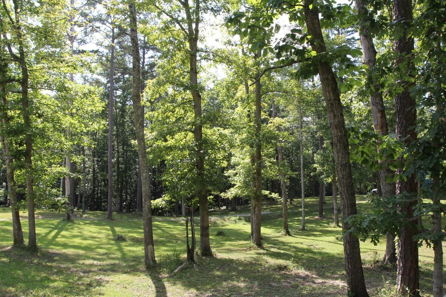 5210 London Dock Road London, KY 40744 - Photo 35 of 73 Listing Photo