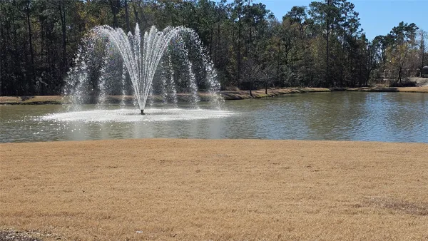 $2,200 | 3529 Brian Valley Court, Spring, TX 77386