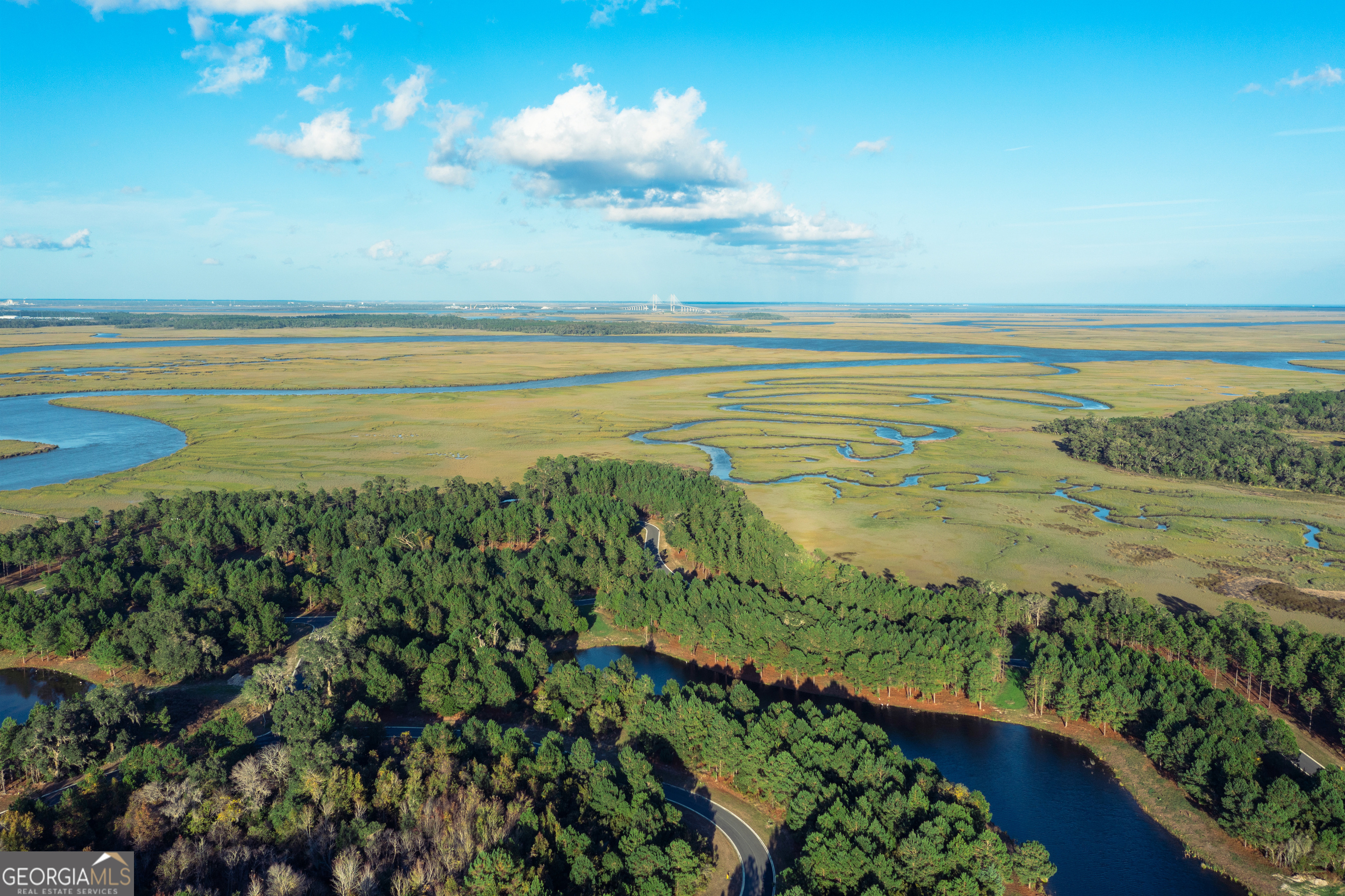 Lot 548 Beacon Pointe Parkway Waverly, GA 31565 - Photo 14 of 15 a view of an ocean and a mountain