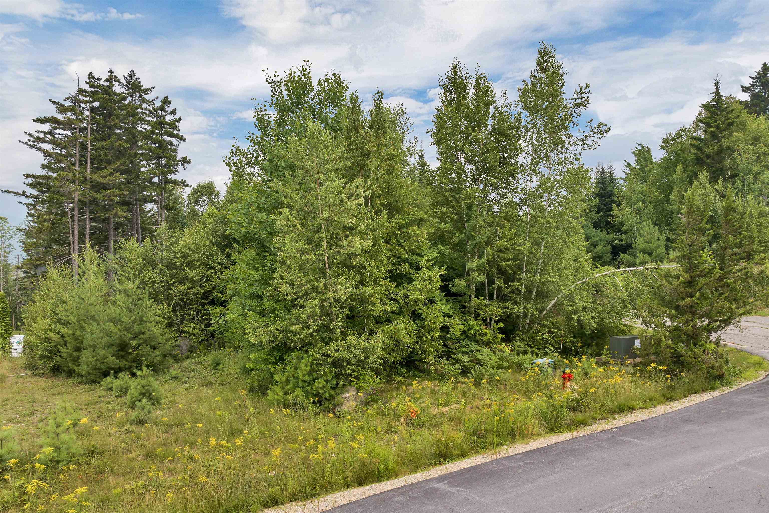 11 Golden Heights Road, Unit 1 Waterville Valley, NH 03215 - Photo 6 of 14