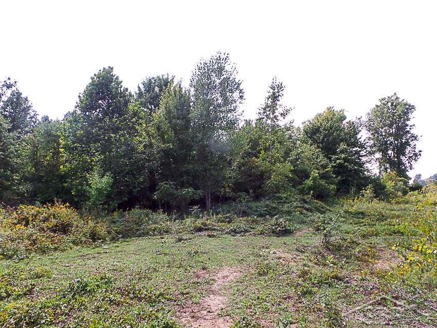 0 Ridge Road Oakley, MI 48649 - Photo 11 of 17