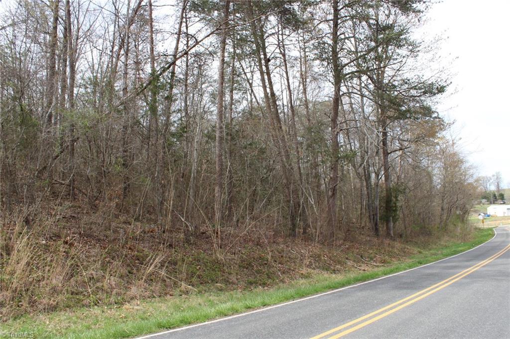 0 Vashti Road Hiddenite, NC 28636 - Photo 26 of 50