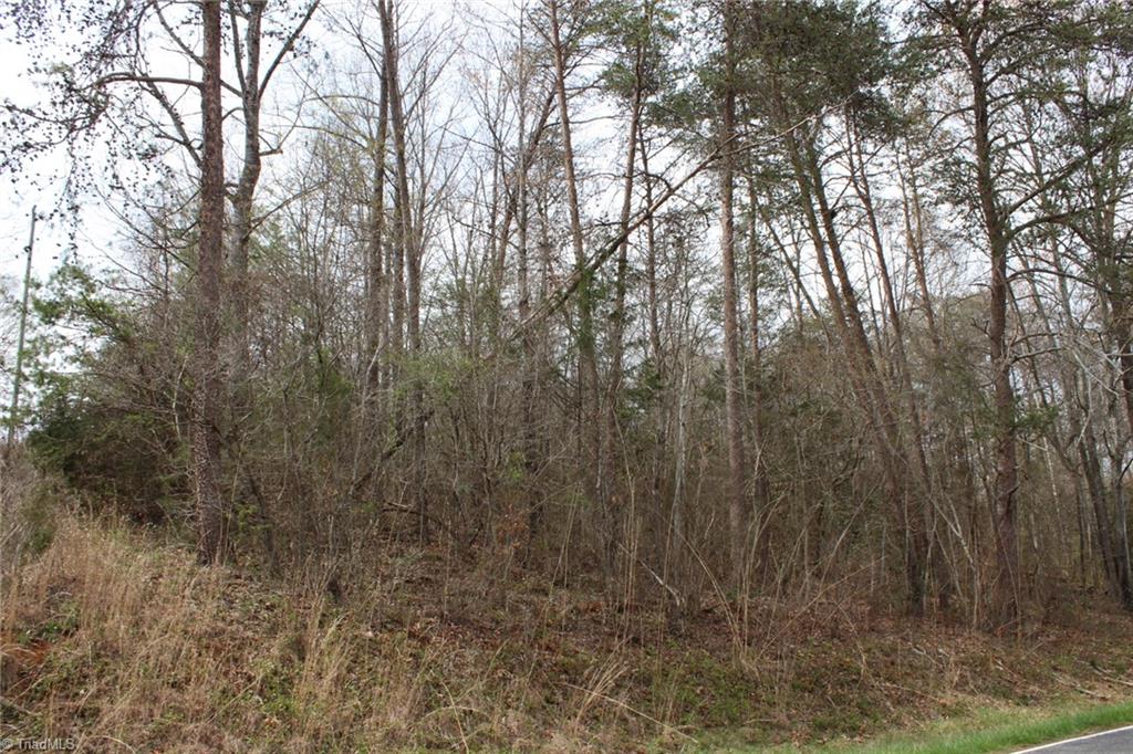 0 Vashti Road Hiddenite, NC 28636 - Photo 27 of 50