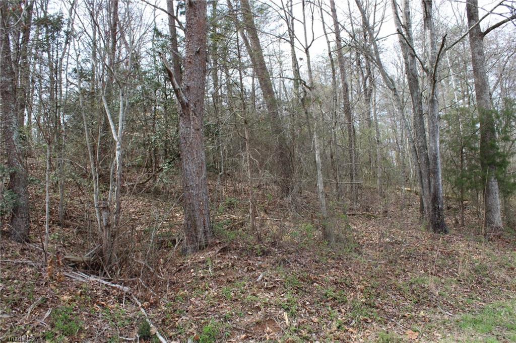 0 Vashti Road Hiddenite, NC 28636 - Photo 28 of 50